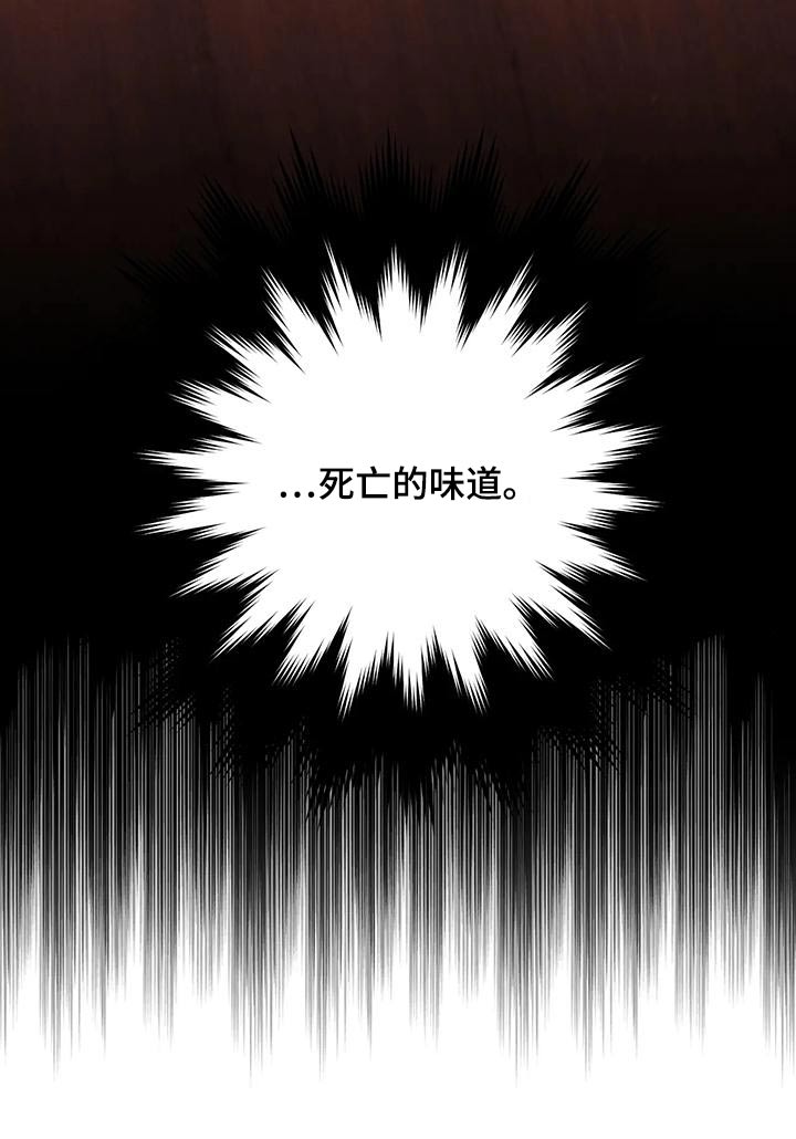 《龟兔同行》第84章味道 第20页