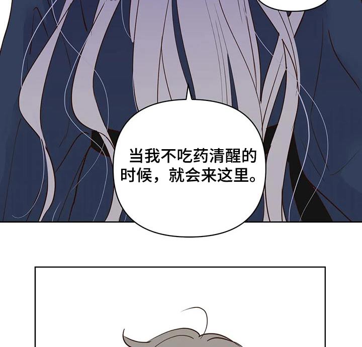 《龟兔同行》第87章翻身 第11页