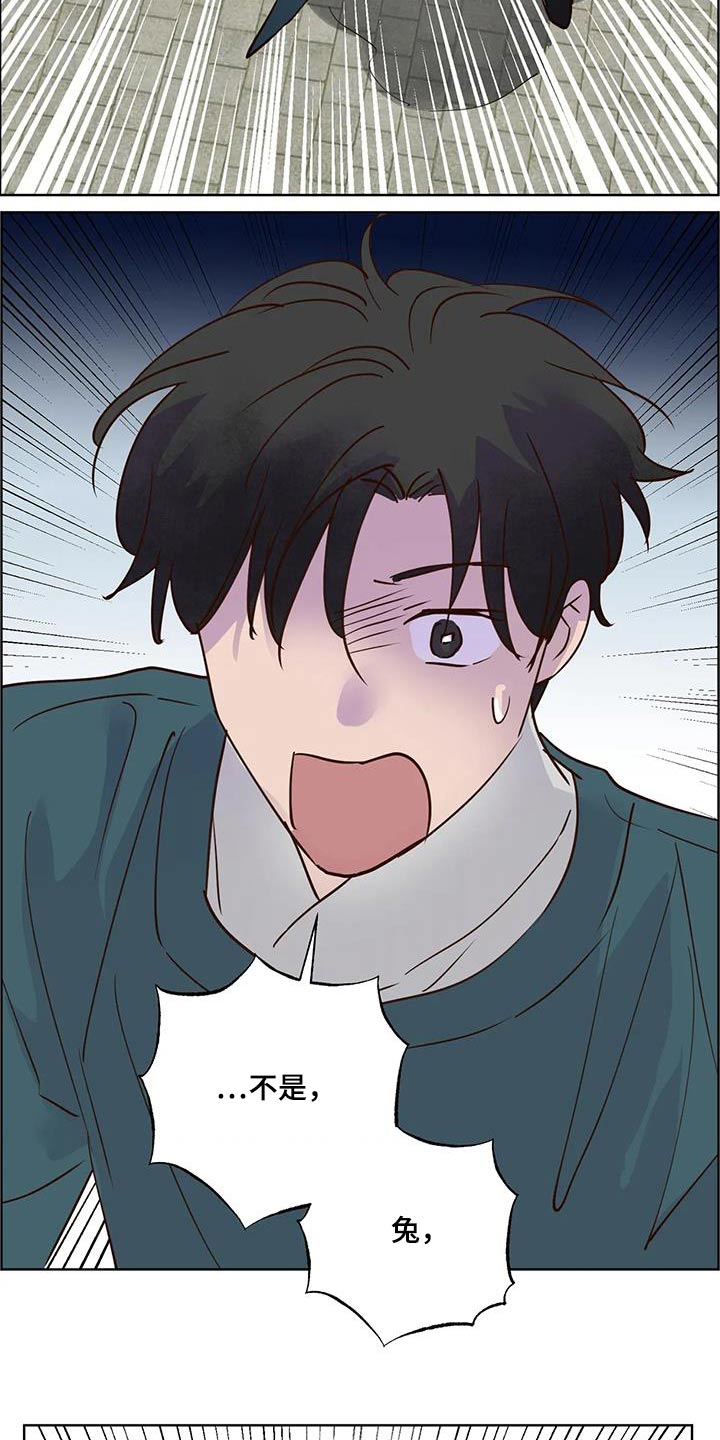 《龟兔同行》第90章动静 第21页