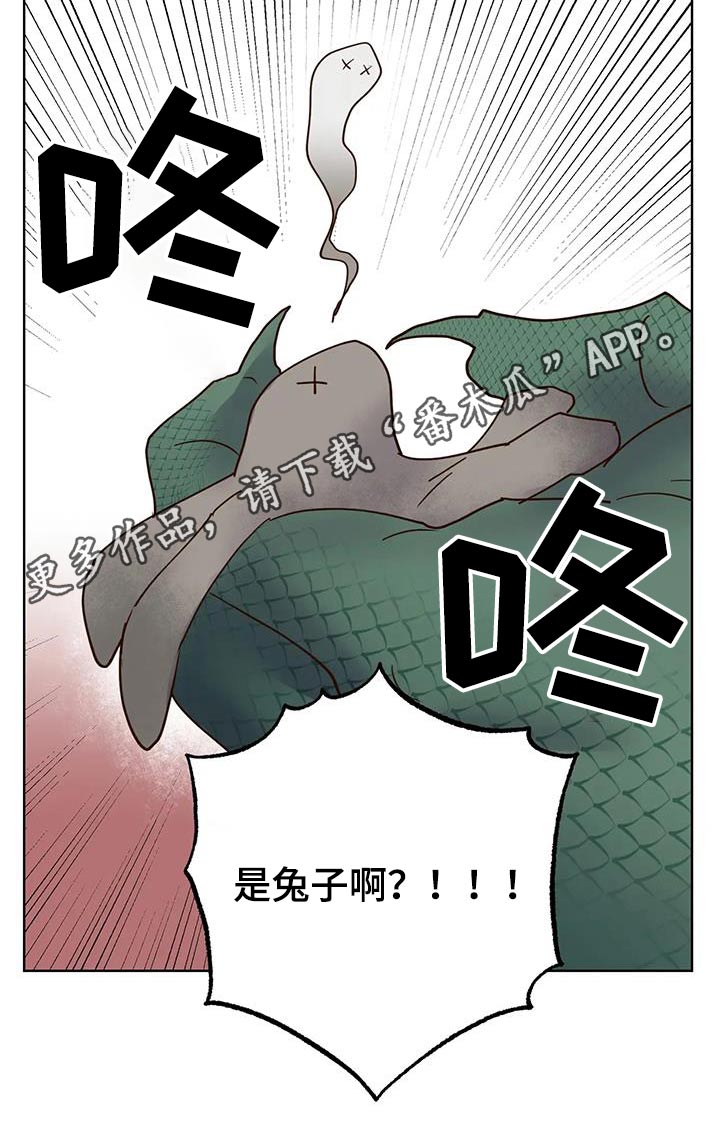 《龟兔同行》第90章动静 第22页
