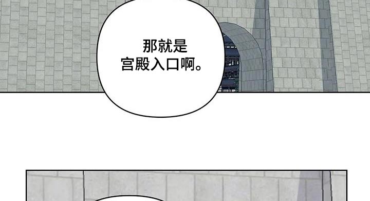 《龟兔同行》第89章入口 第11页
