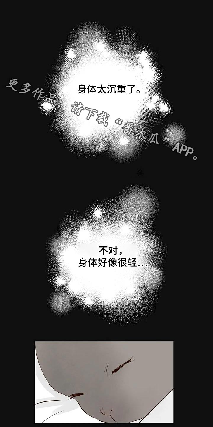 《龟兔同行》第91章醒来 第1页