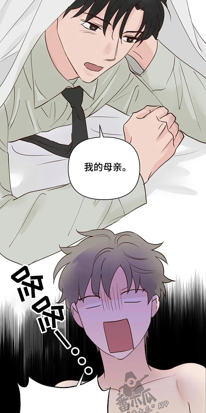 《龟兔同行》第92章母亲 第13页