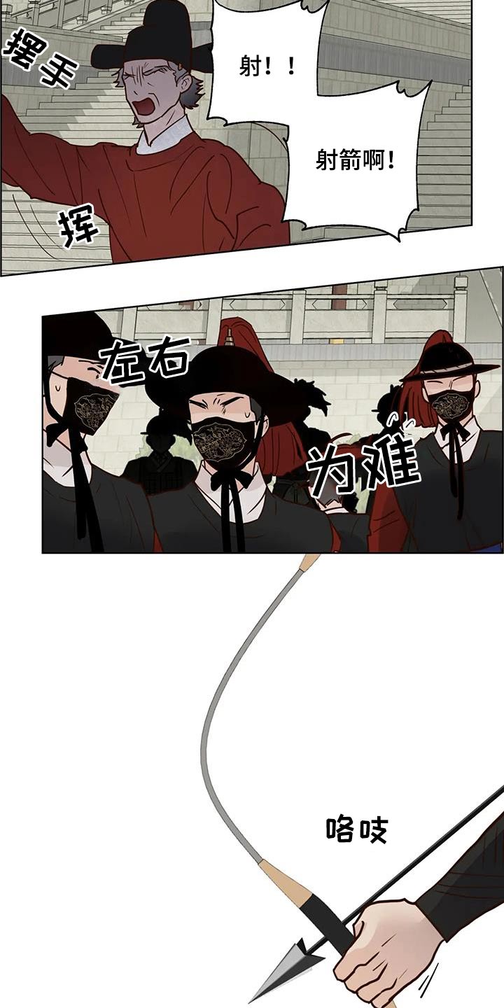 《龟兔同行》第94章紧急时刻 第13页
