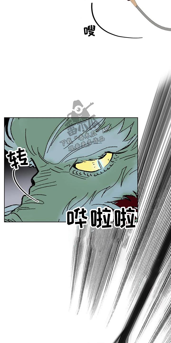 《龟兔同行》第94章紧急时刻 第14页