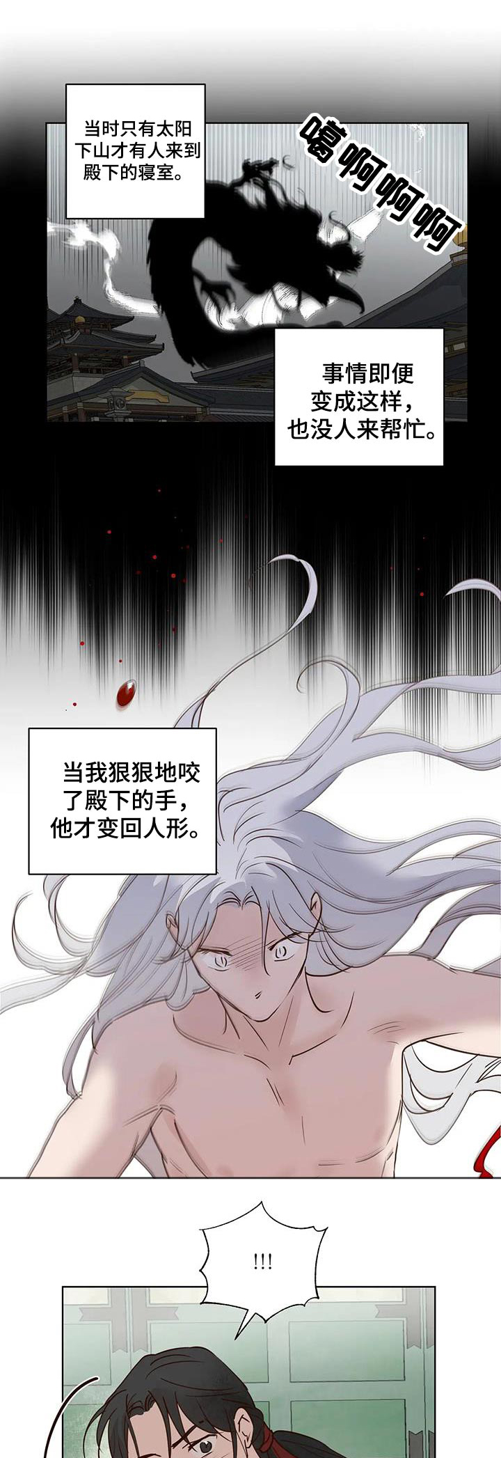 《龟兔同行》第94章紧急时刻 第1页