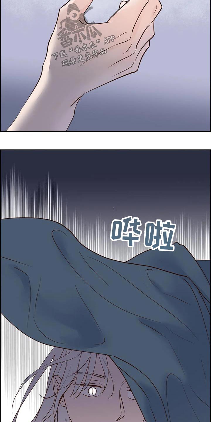 《龟兔同行》第94章紧急时刻 第21页