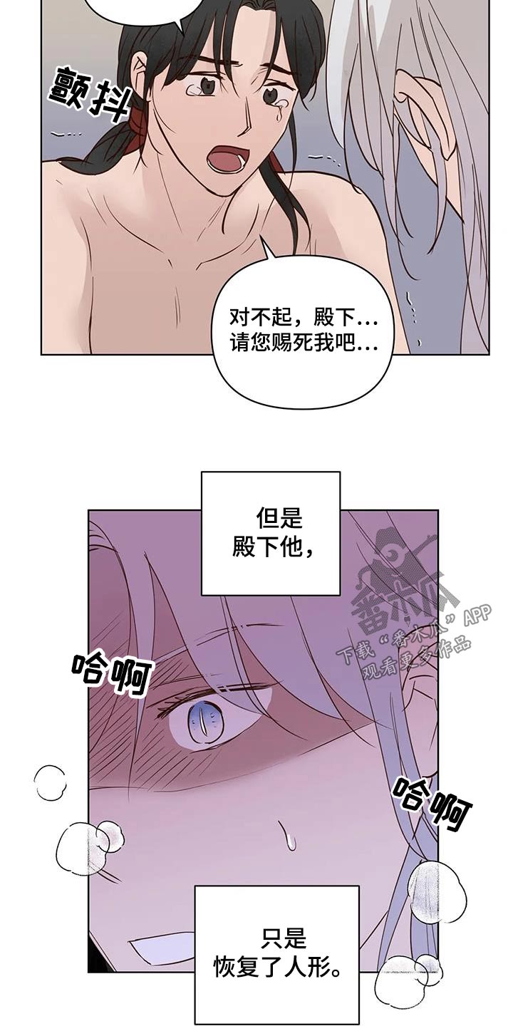 《龟兔同行》第94章紧急时刻 第4页