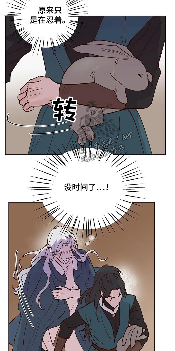 《龟兔同行》第96章没事了 第10页