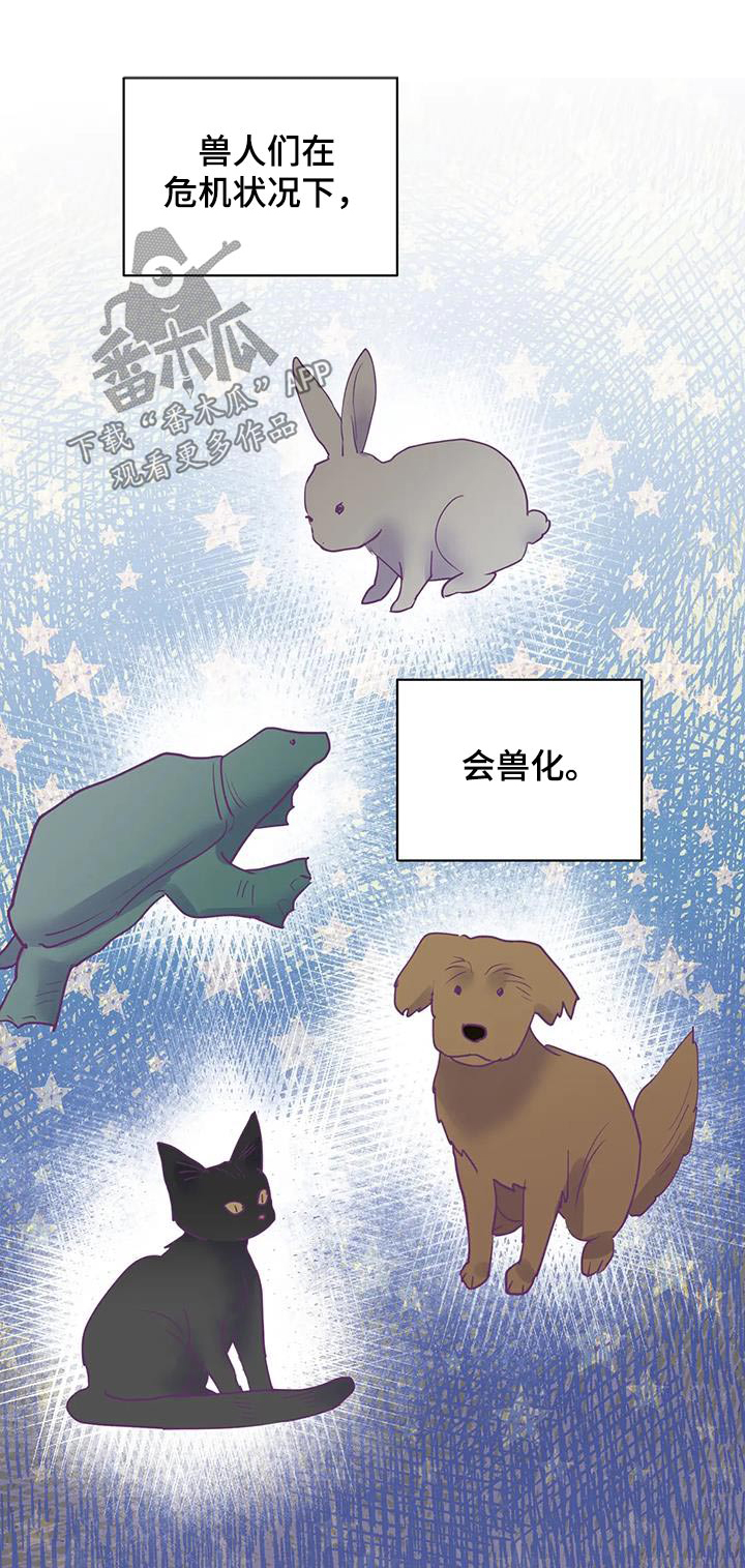 《龟兔同行》第96章没事了 第6页