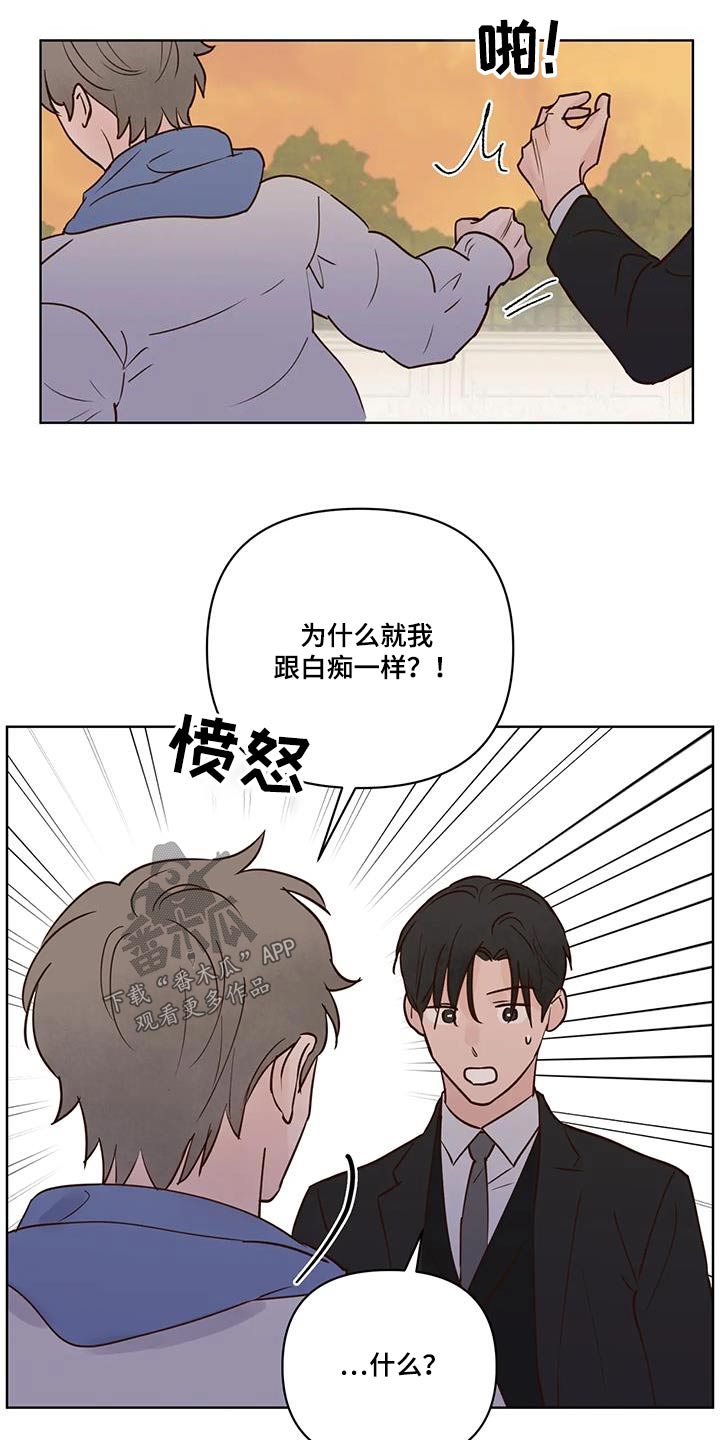 《龟兔同行》第104章不希望 第4页