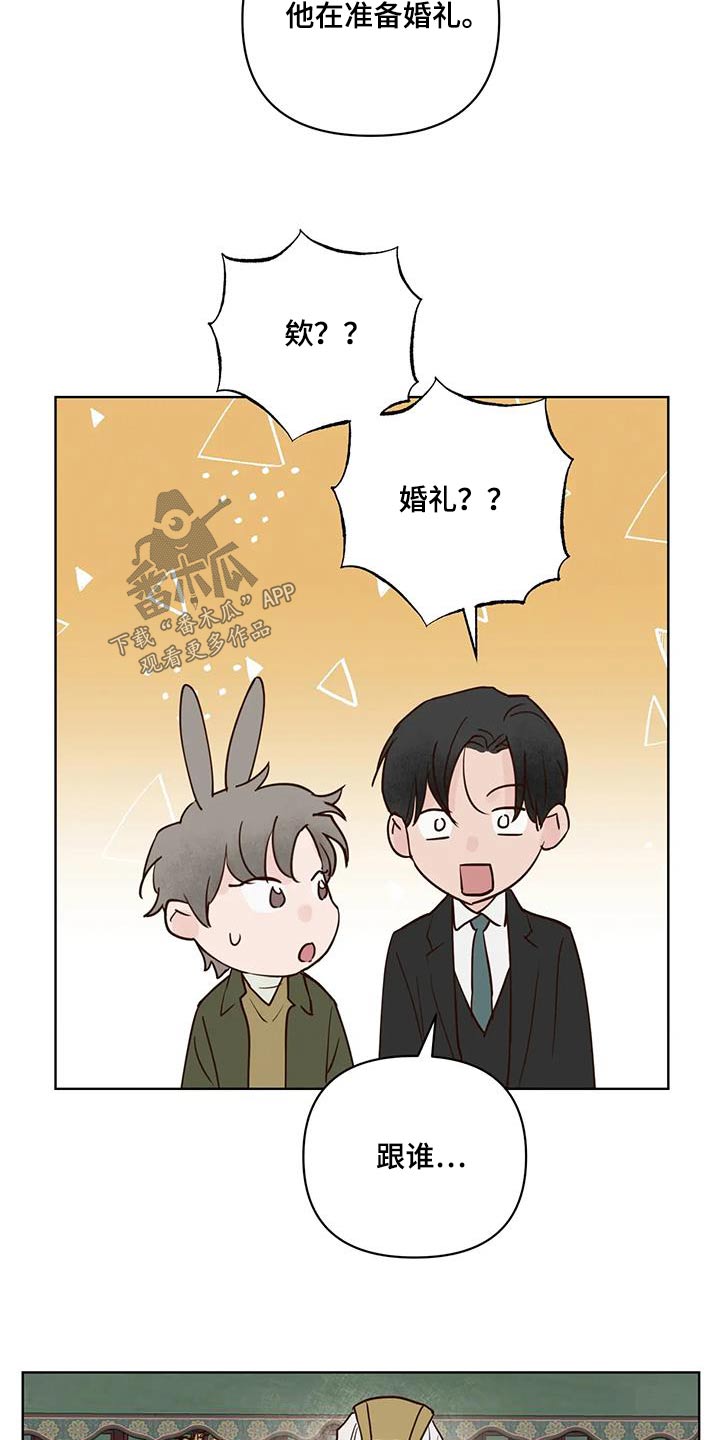 《龟兔同行》第107章决定了 第13页