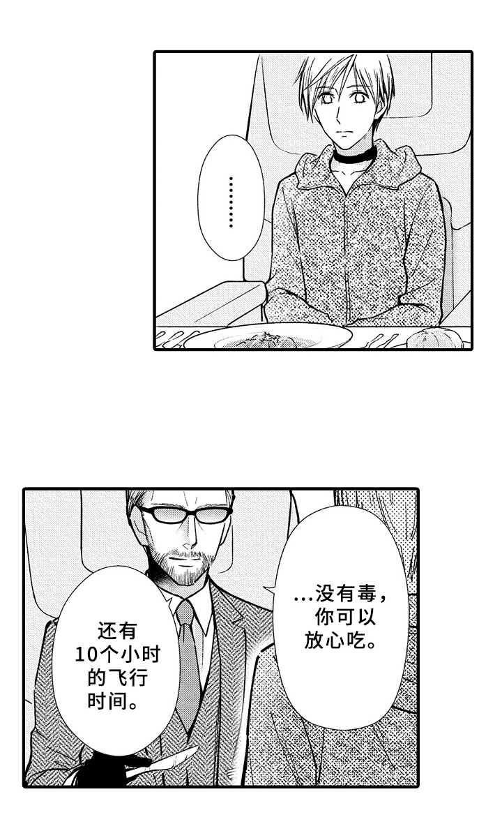 《欧米伽综合症》第41章预案 第11页