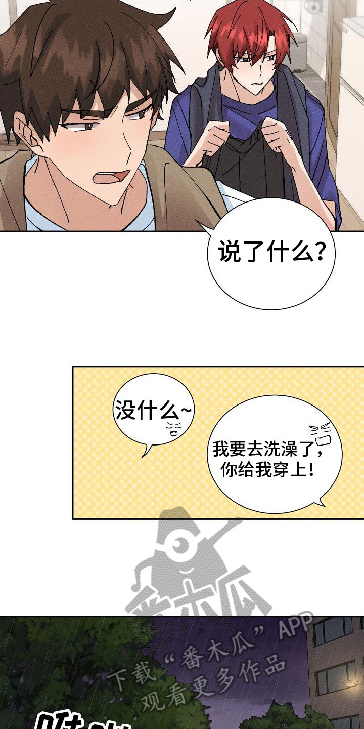 《别样的安慰》第5章留宿 第13页