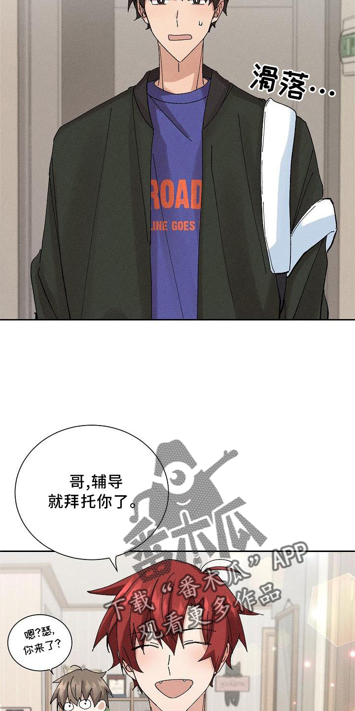 《别样的安慰》第11章交流 第6页