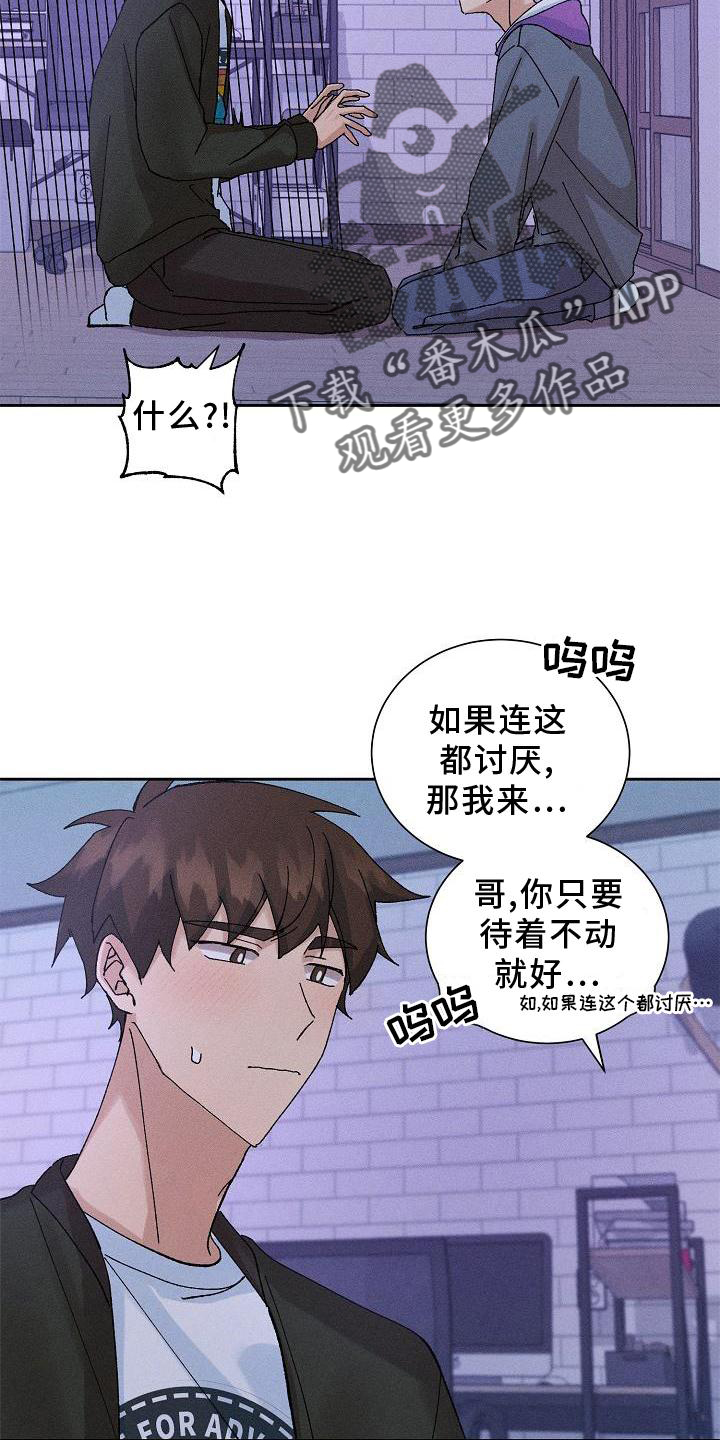《别样的安慰》第10章结束 第11页