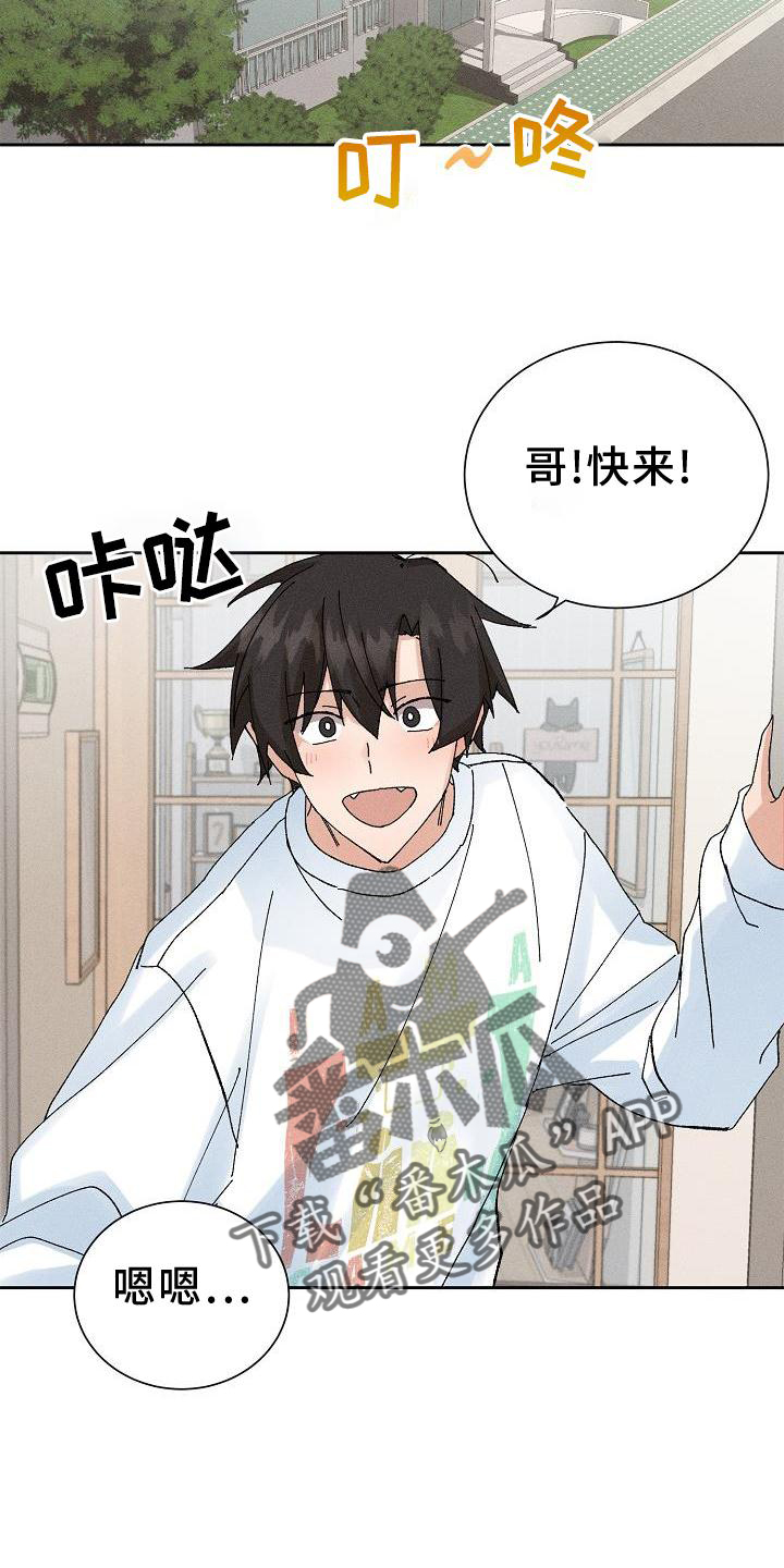 《别样的安慰》第14章二次光临 第15页