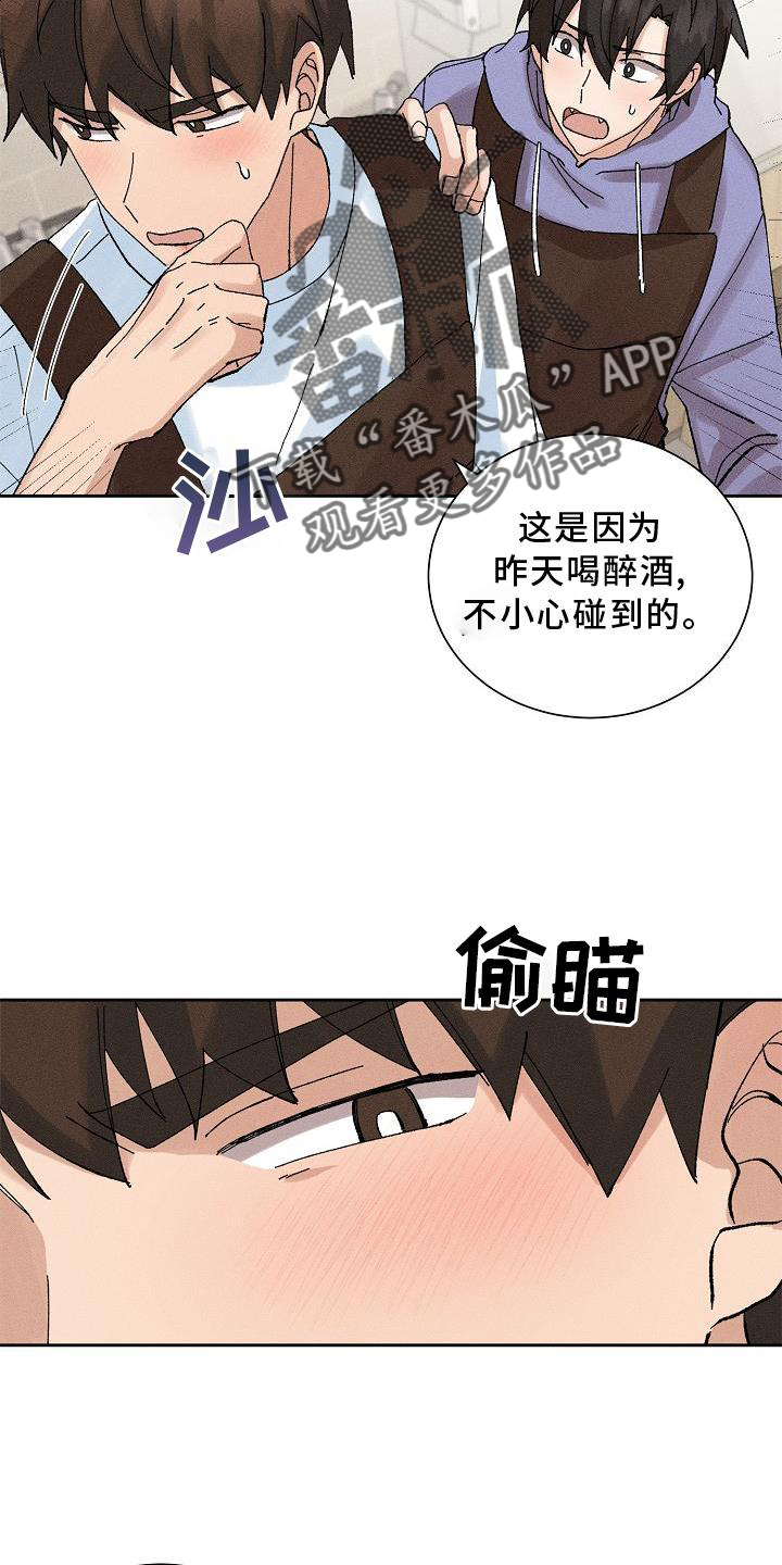 《别样的安慰》第18章暗恋 第13页