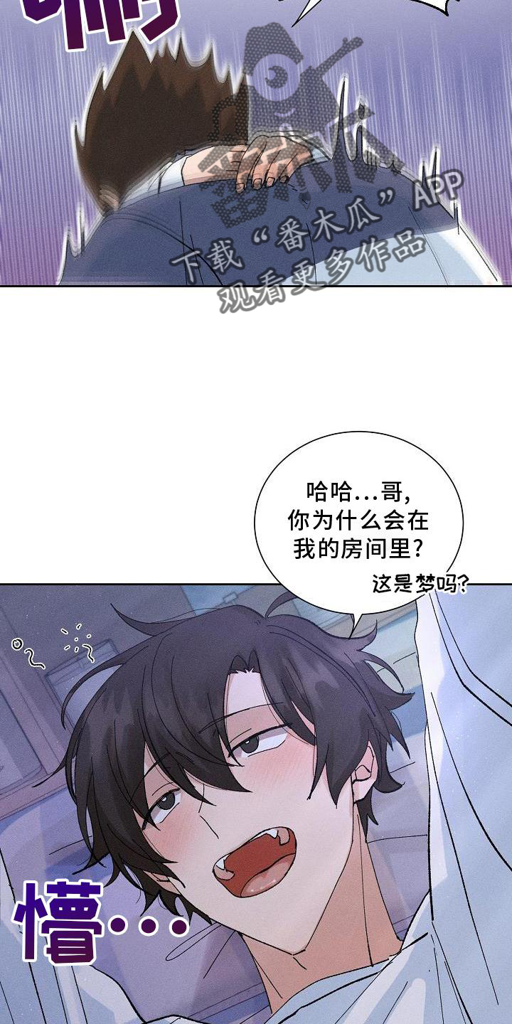 《别样的安慰》第16章做梦 第11页