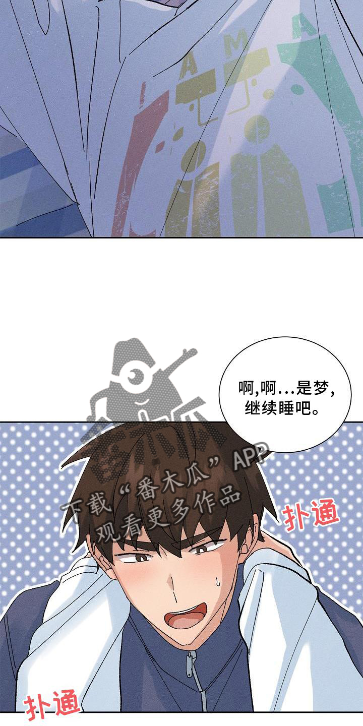 《别样的安慰》第16章做梦 第12页