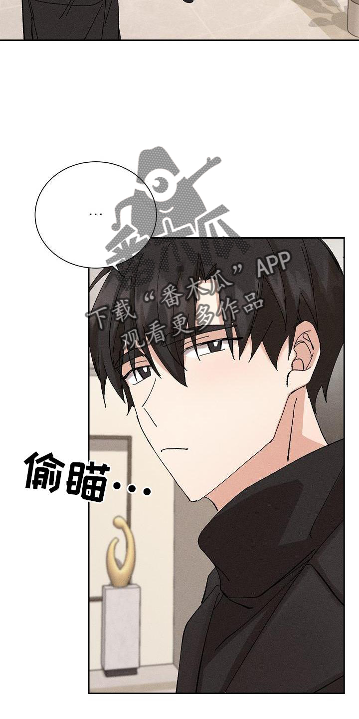 《别样的安慰》第21章同意 第13页