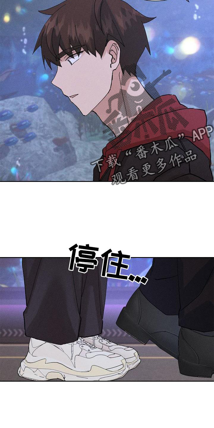 《别样的安慰》第20章提醒 第19页