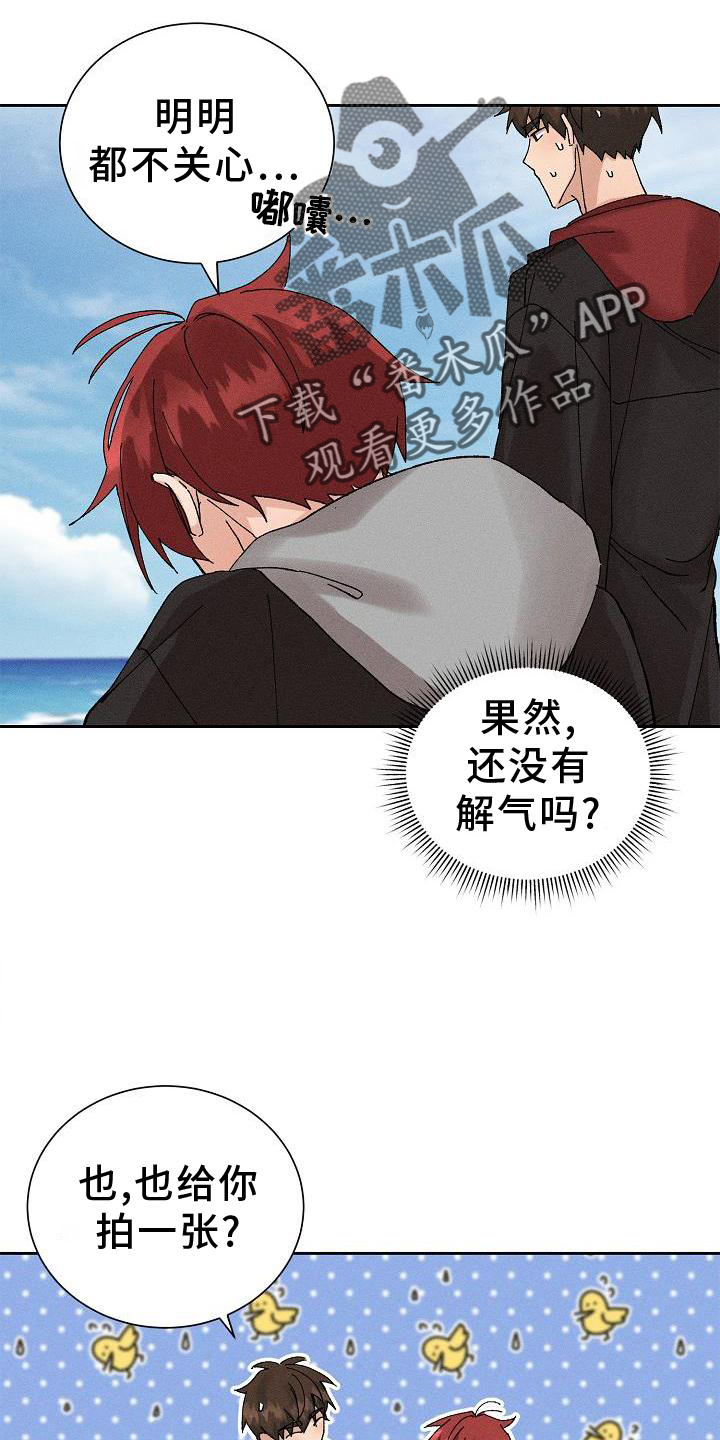 《别样的安慰》第20章提醒 第3页