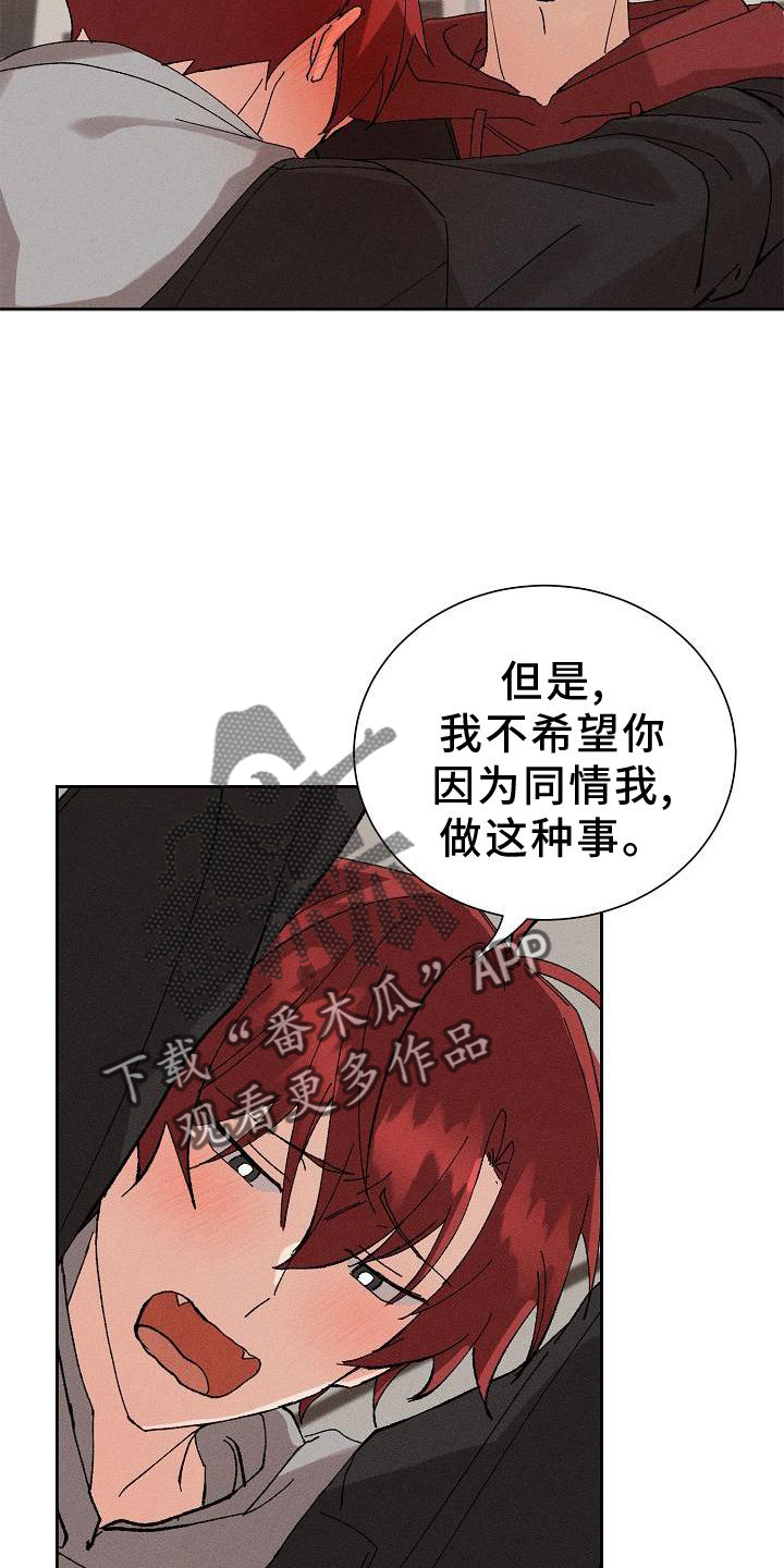 《别样的安慰》第22章成熟 第20页