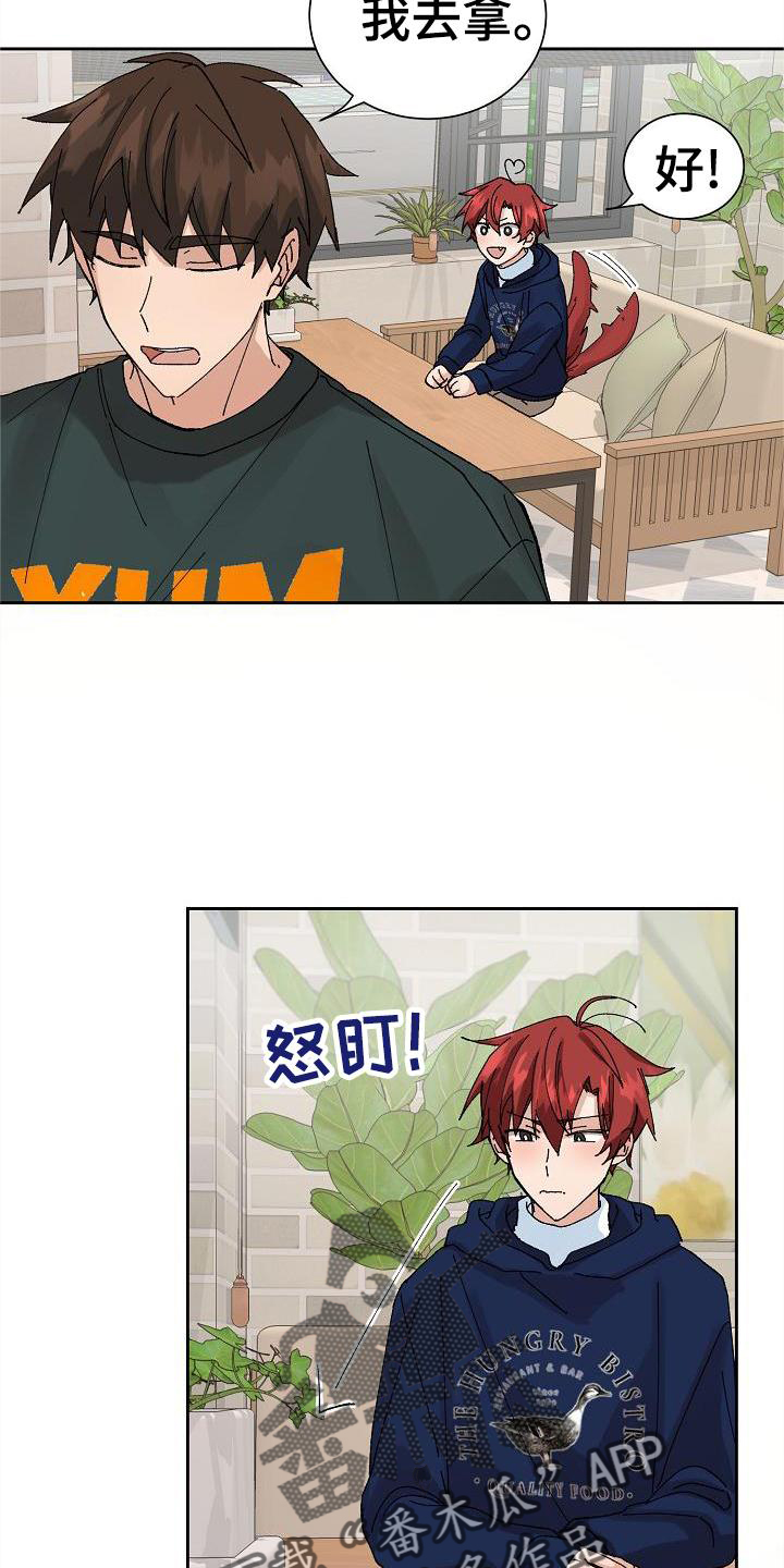《别样的安慰》第26章电话 第15页