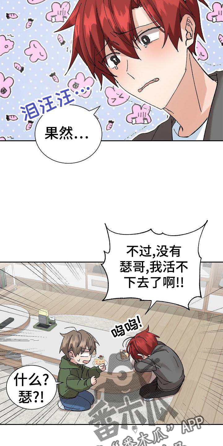 《别样的安慰》第26章电话 第7页