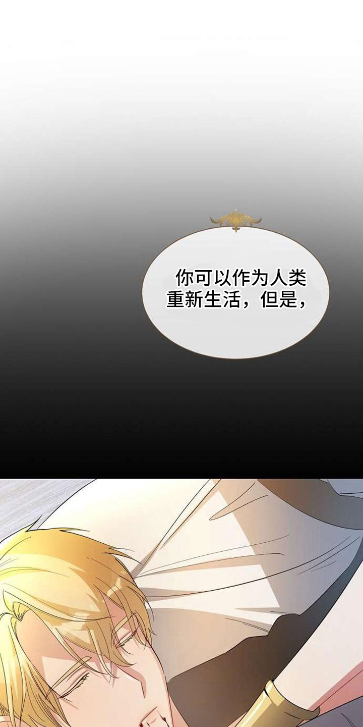 《天使的祈祷》第74章回去吧 第1页