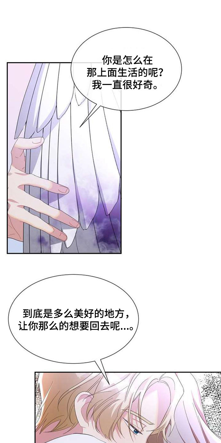 《天使的祈祷》第66章同归于尽 第1页