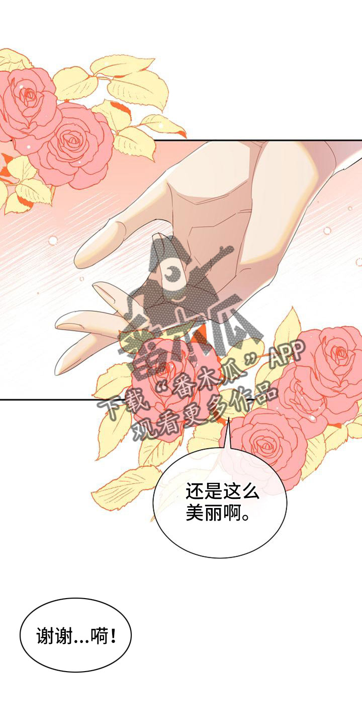 《天使的祈祷》第58章想要拥有我 第23页