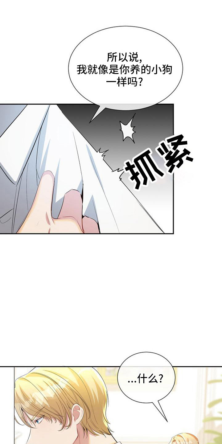《天使的祈祷》第52章情有可原 第17页