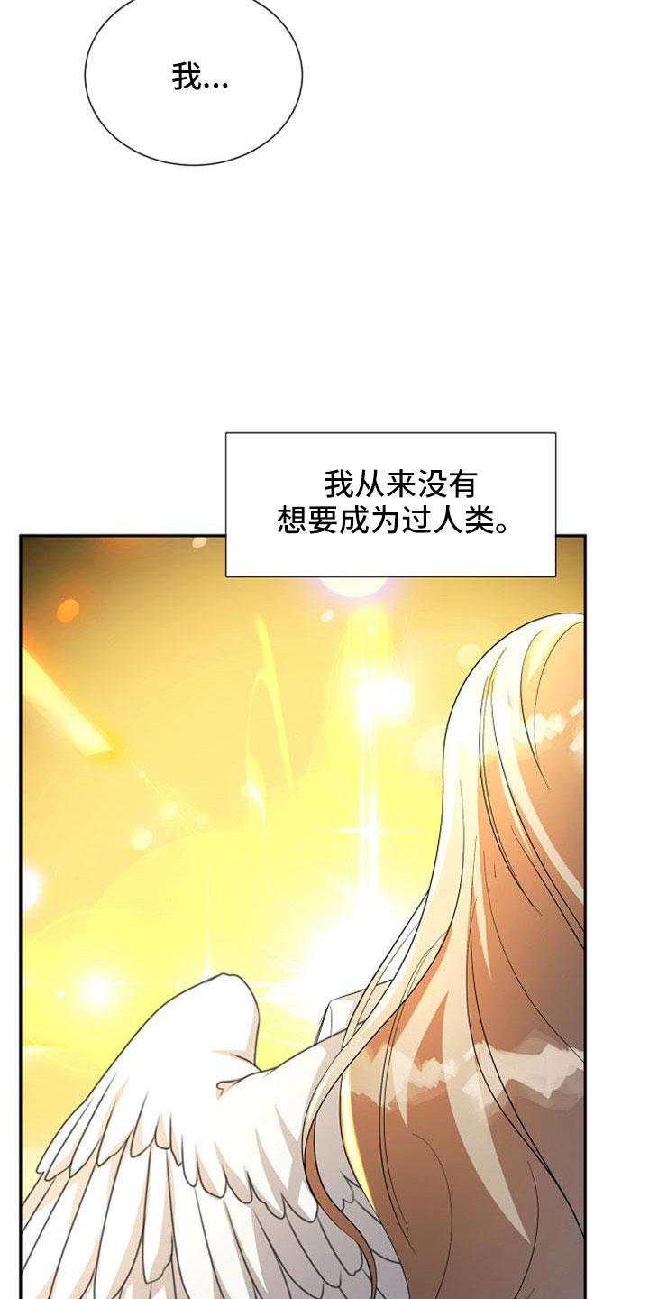 《天使的祈祷》第47章那种人 第21页