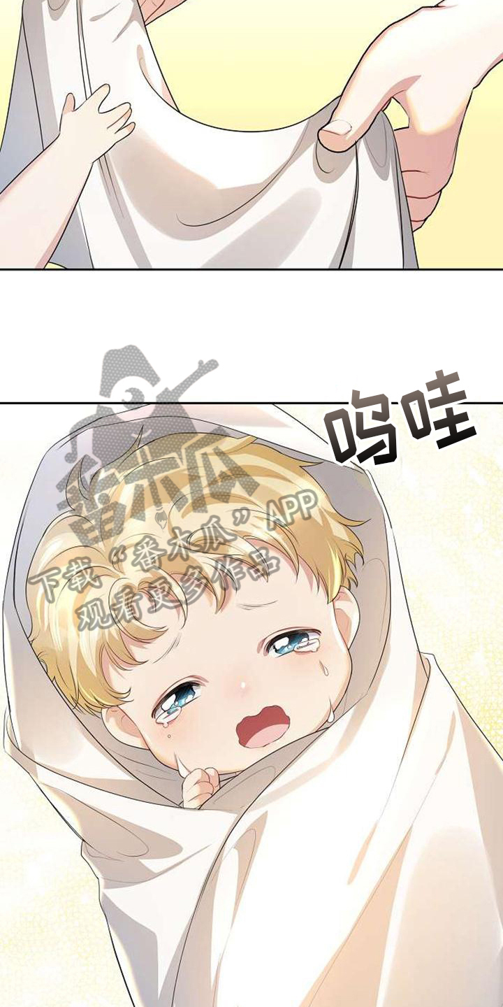 《天使的祈祷》第10章出生 第6页
