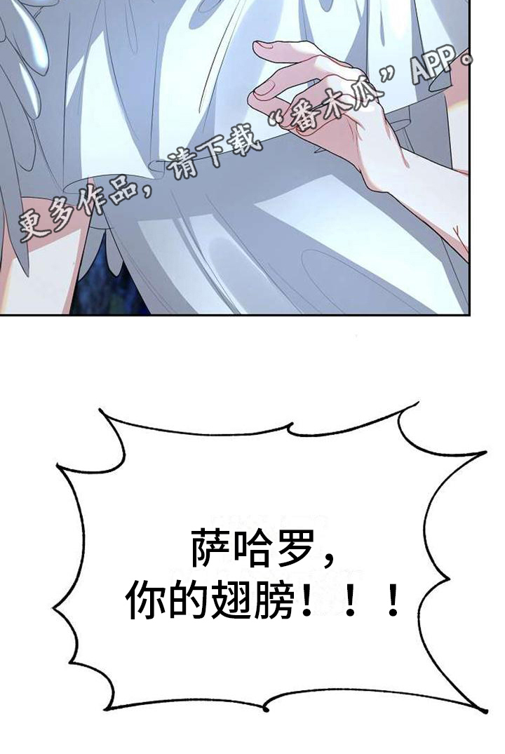 《天使的祈祷》第4章名字 第21页