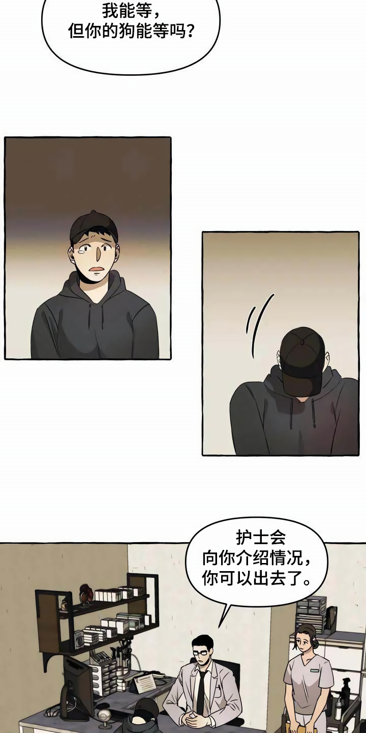 《忠犬三三》第1章流浪狗 第10页