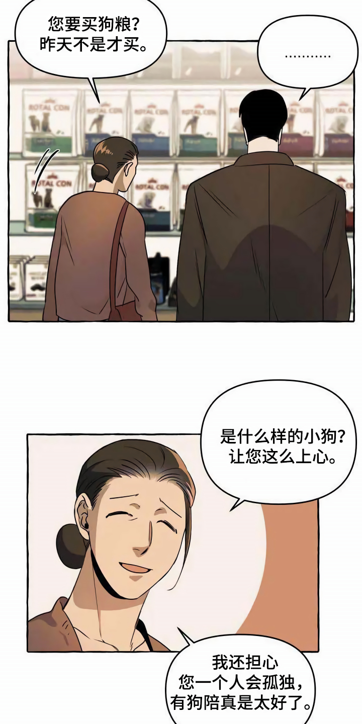 《忠犬三三》第1章流浪狗 第13页
