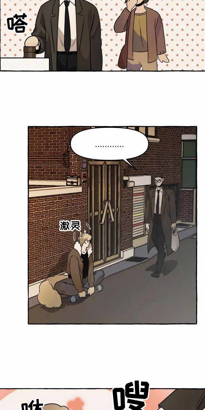 《忠犬三三》第1章流浪狗 第15页