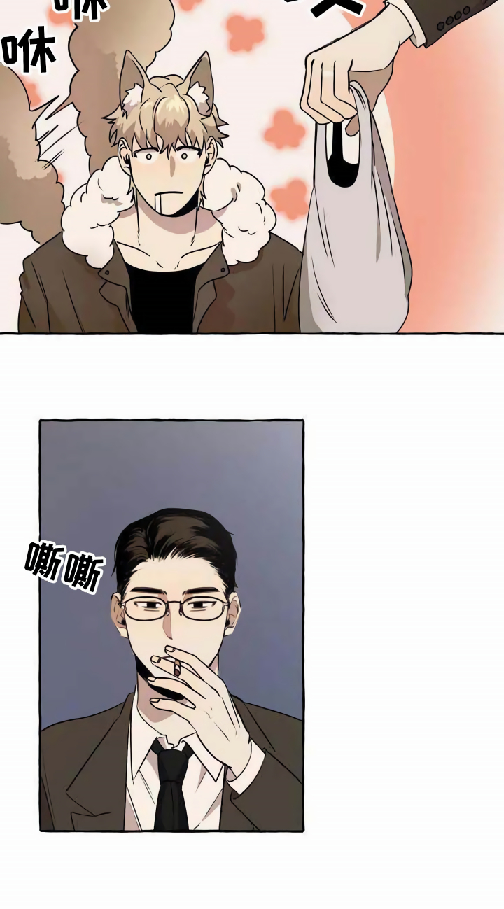 《忠犬三三》第1章流浪狗 第16页