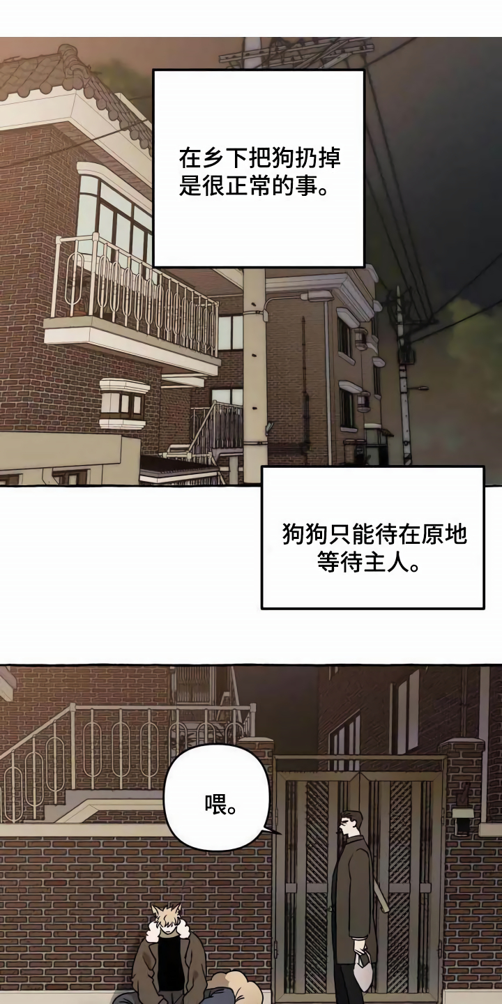 《忠犬三三》第1章流浪狗 第1页