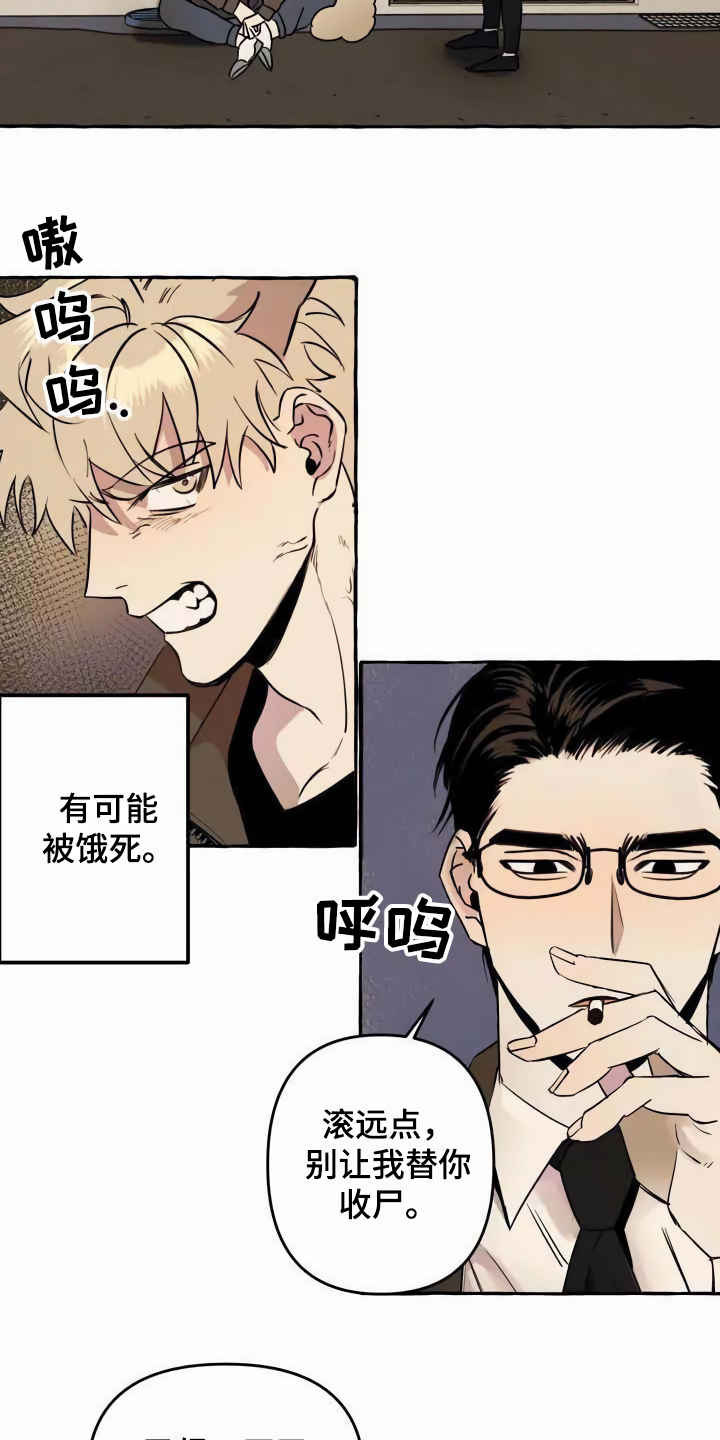 《忠犬三三》第1章流浪狗 第2页