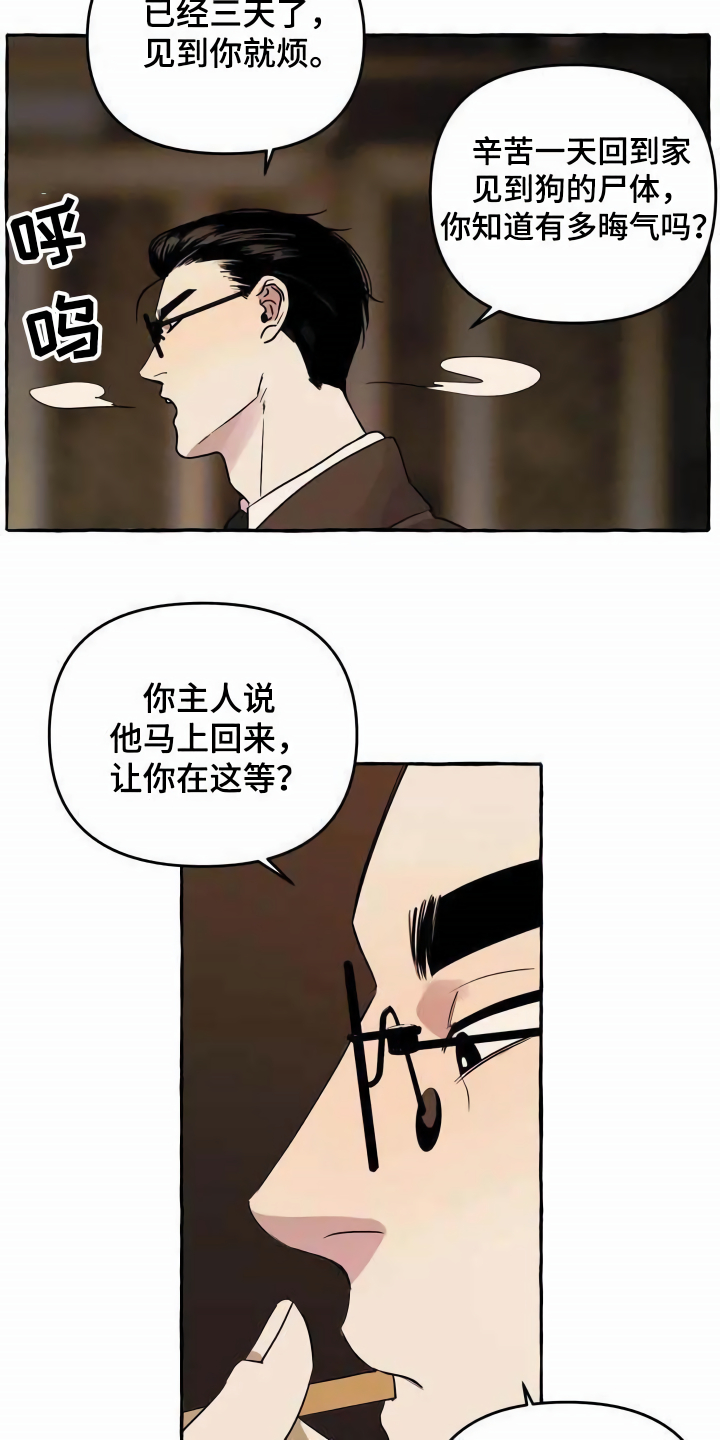 《忠犬三三》第1章流浪狗 第3页