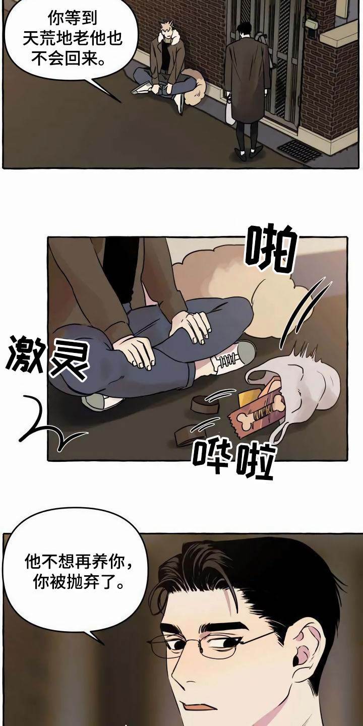 《忠犬三三》第1章流浪狗 第5页