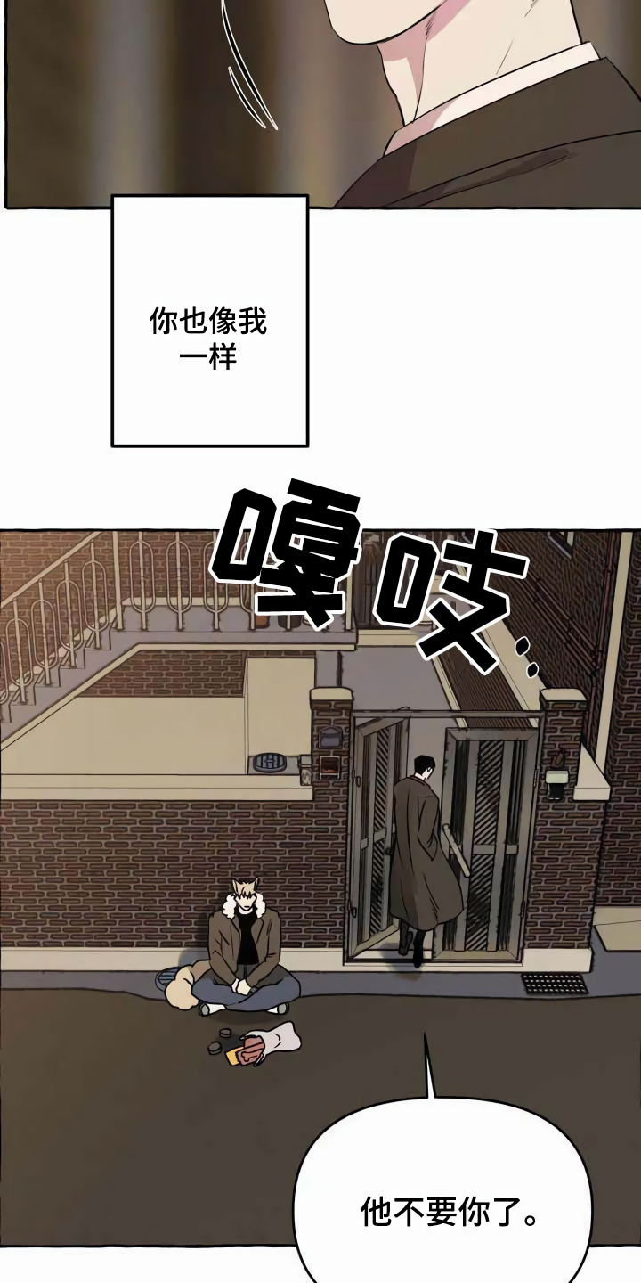 《忠犬三三》第1章流浪狗 第6页