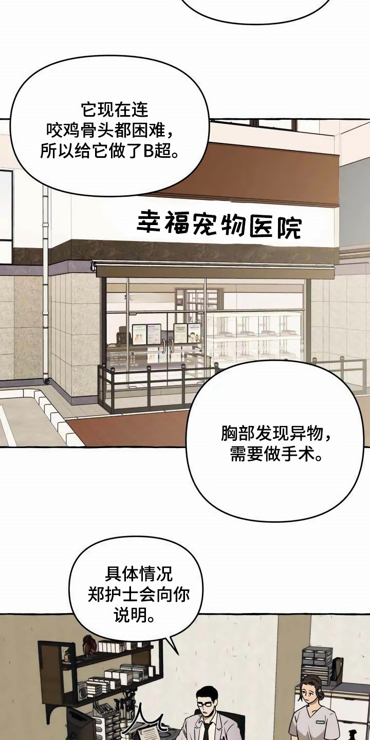 《忠犬三三》第1章流浪狗 第7页