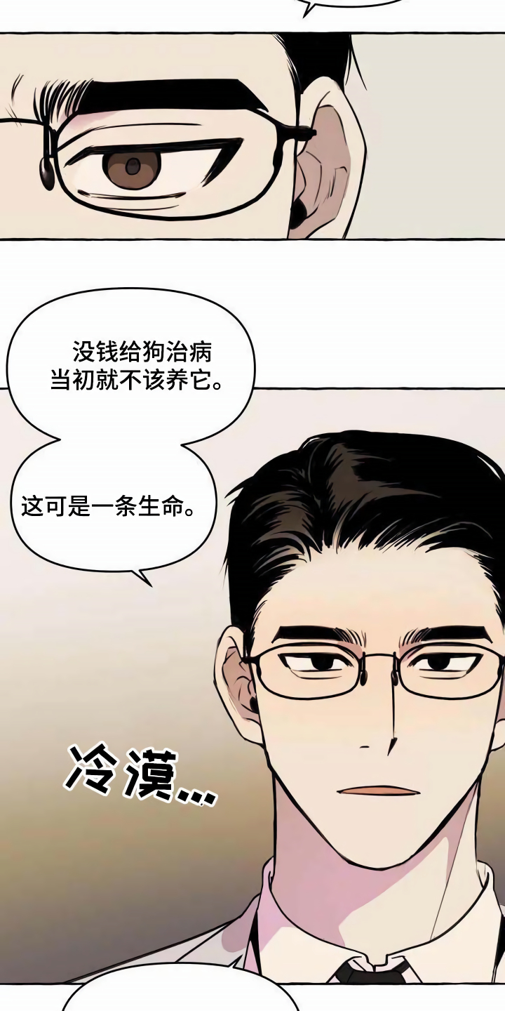 《忠犬三三》第1章流浪狗 第9页