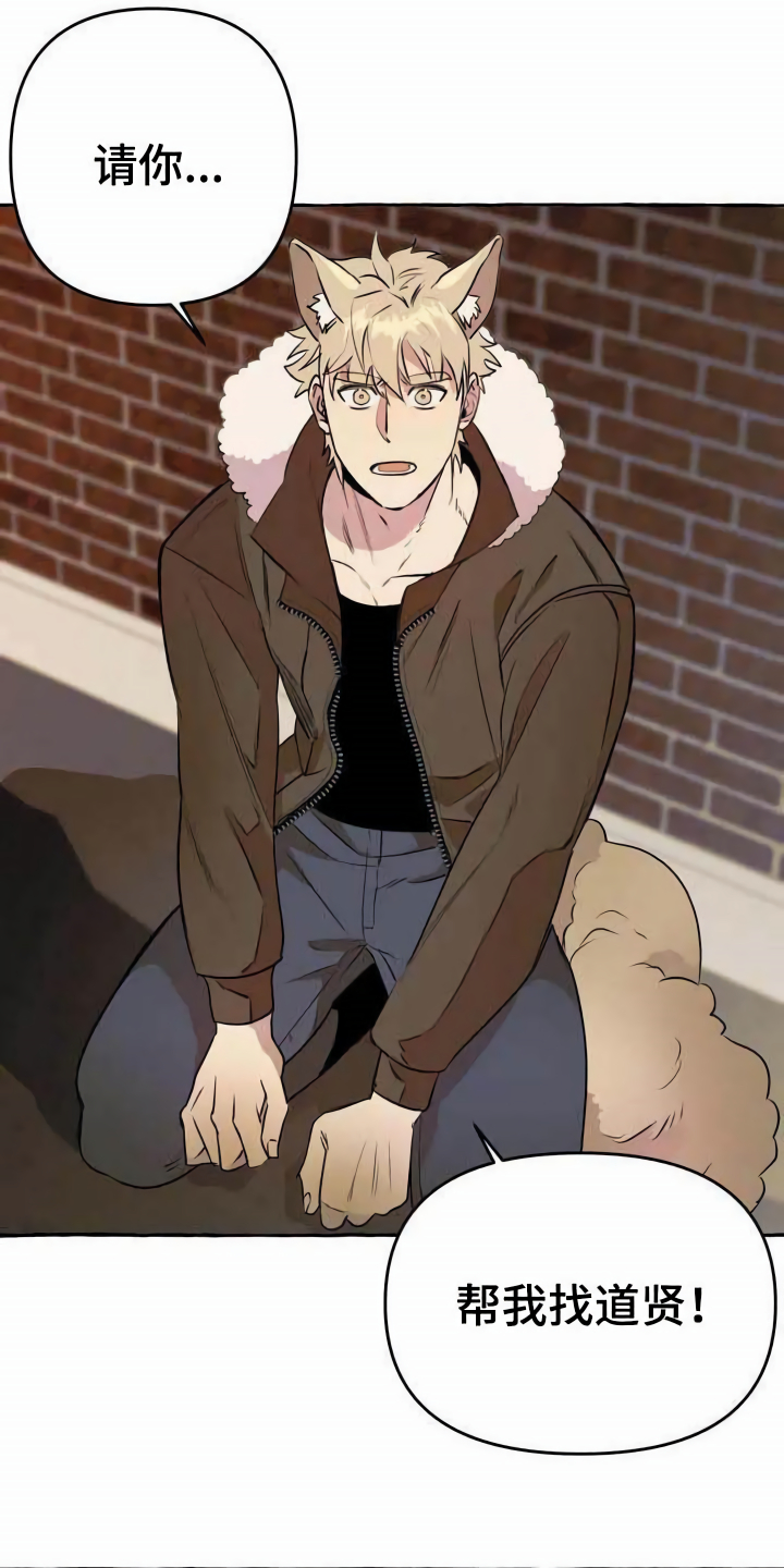 《忠犬三三》第2章可怜 第5页