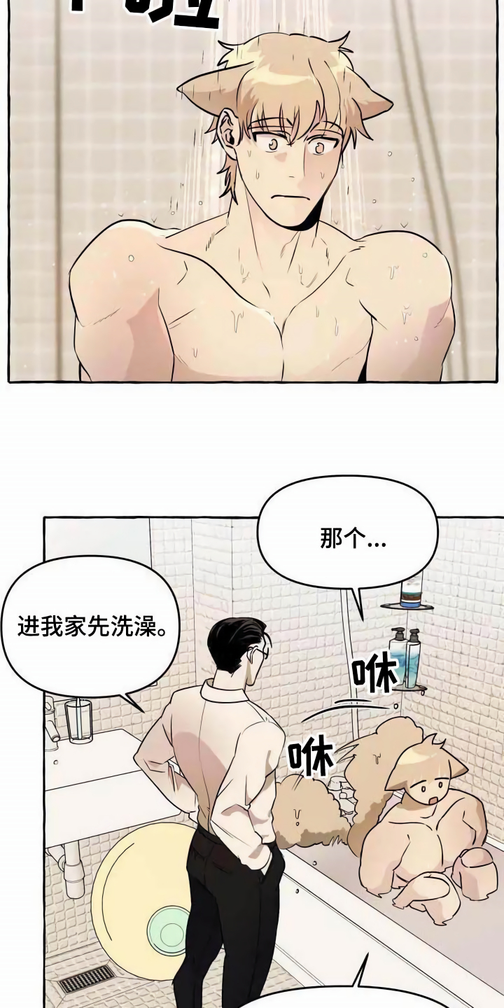 《忠犬三三》第2章可怜 第9页